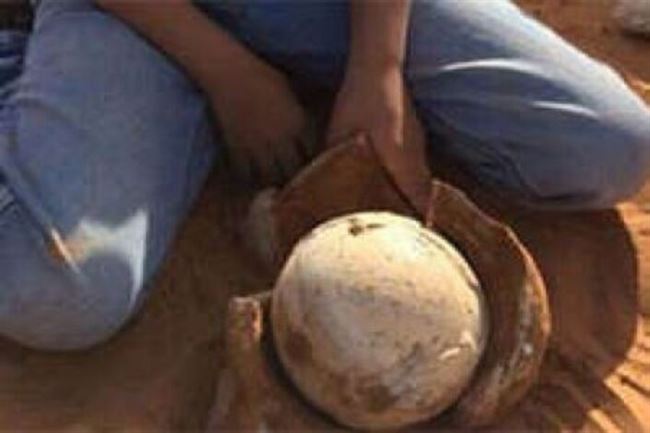 طفلة سعودية تعثر على بيضة مغلفة بحجر