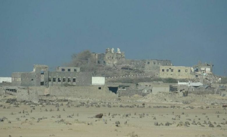المقاومة والجيش يسيطران على منطقة ذوباب ويتجهان ساحلياً صوب المخا .. ومقتل قيادي حوثي بارز