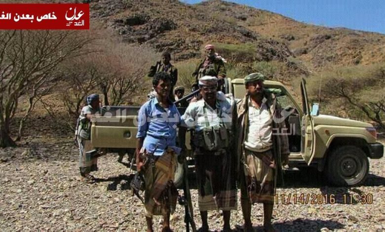 قبائل الصبيحة تعلن النفير العام وتصعد من عملياتها ضد مليشيات الحوثي