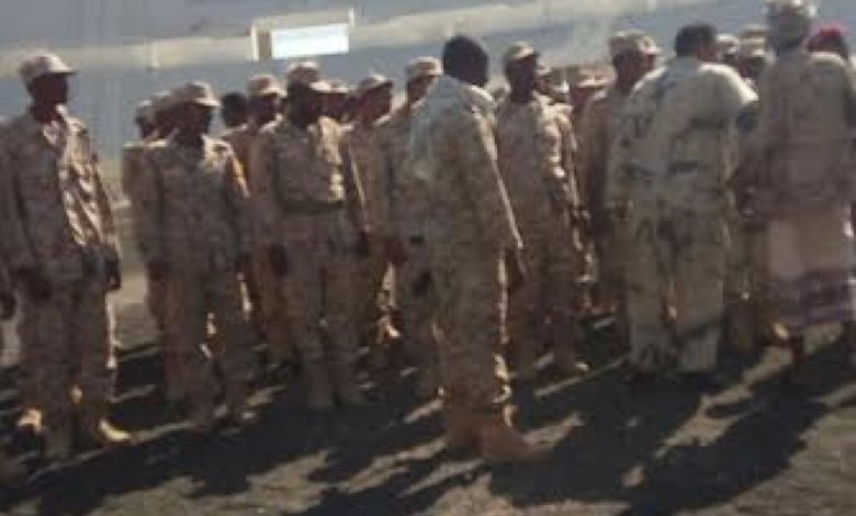 اللواء 15 المرابط في ضاحية زنجبار ينفذ تدريبات عسكرية مكثفة