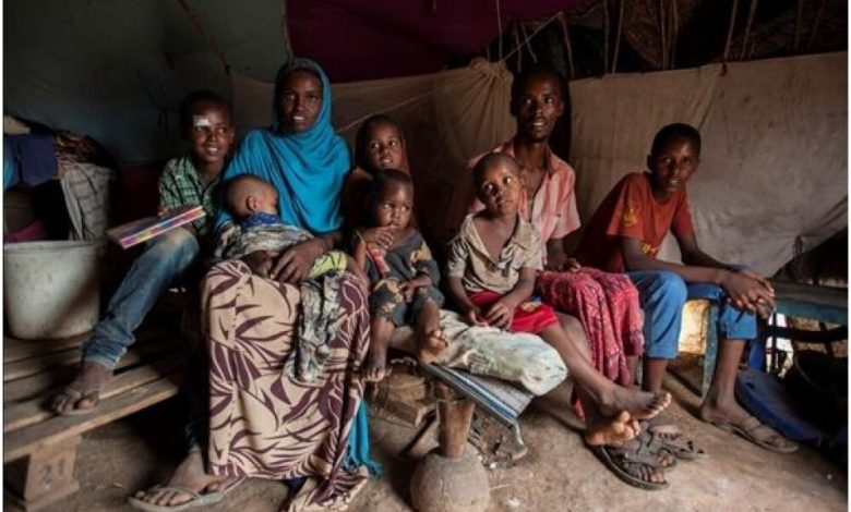 ماذا تعرف عن خطر الجوع؟ رحلة من إفريقيا الوسطى إلى اليمن