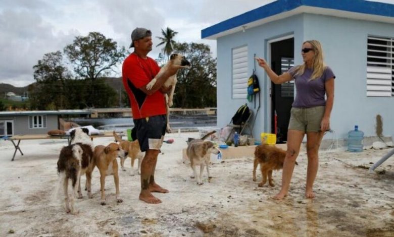 رجل وزوجته يتحديان الإعصار ماريا لإنقاذ سبعة كلاب وثماني قطط