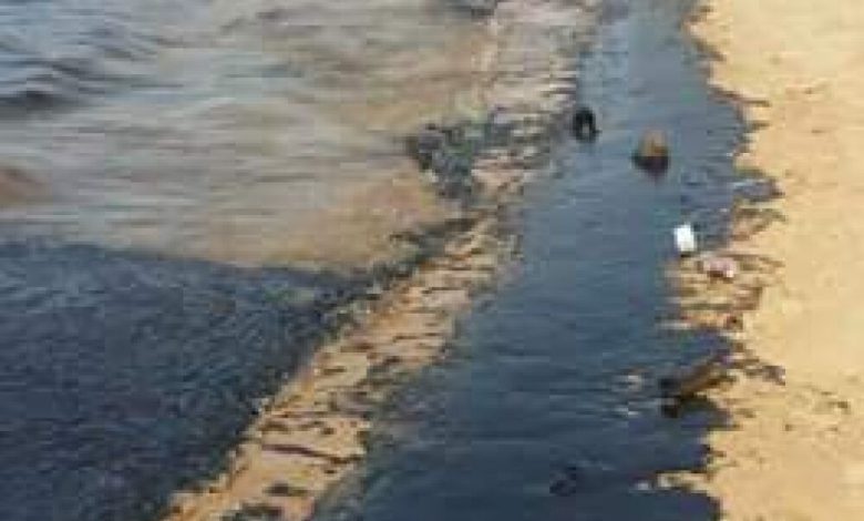 مستويات التلوث في شواطئ عدن غير مسبوقة؟!