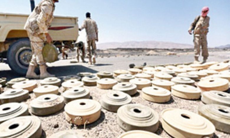 الأمم المتحدة تدعم زارعي ألغام اليمن بـ 52.5 مليون ريال