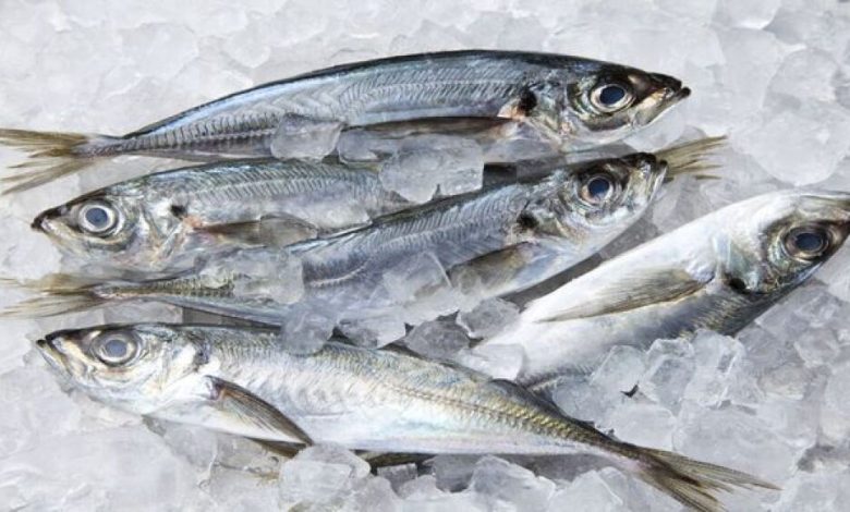تجميد السمك لا يفقده فوائده الغذائية