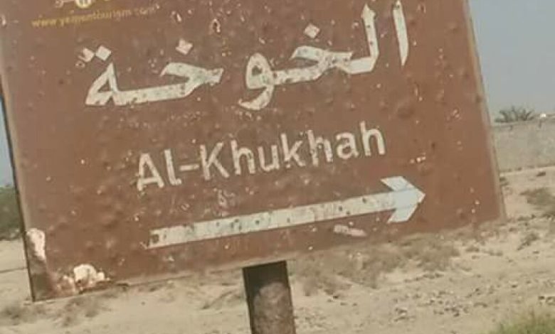 عاجل: قوات الجيش والمقاومة يحرران معسكر استراتيجي في الحديدة