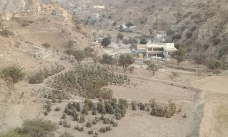 تقرير: شبح الجفاف يهدد مديرية سرار يافع محافظة أبين