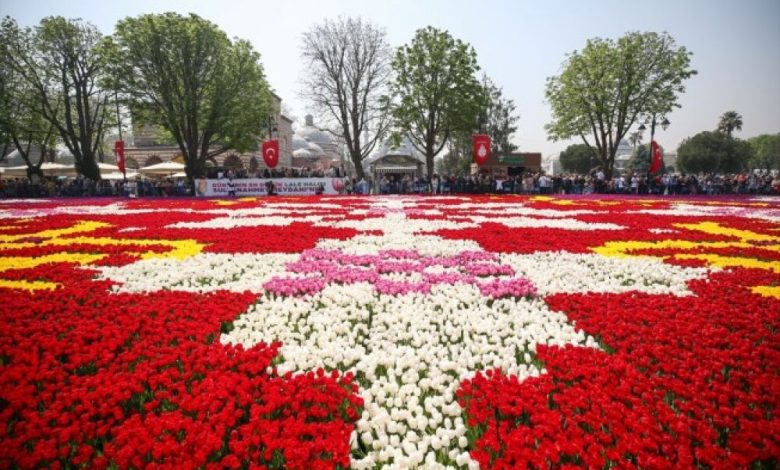إسطنبول التركية تتزين بأكبر سجادة زهور حيّة في العالم