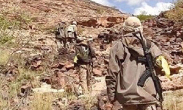 الجيش الوطني يحرر سلسلة جبال شمال صعدة.. ومقتل 17من مليشيا الحوثي شمال محافظة البيضاء