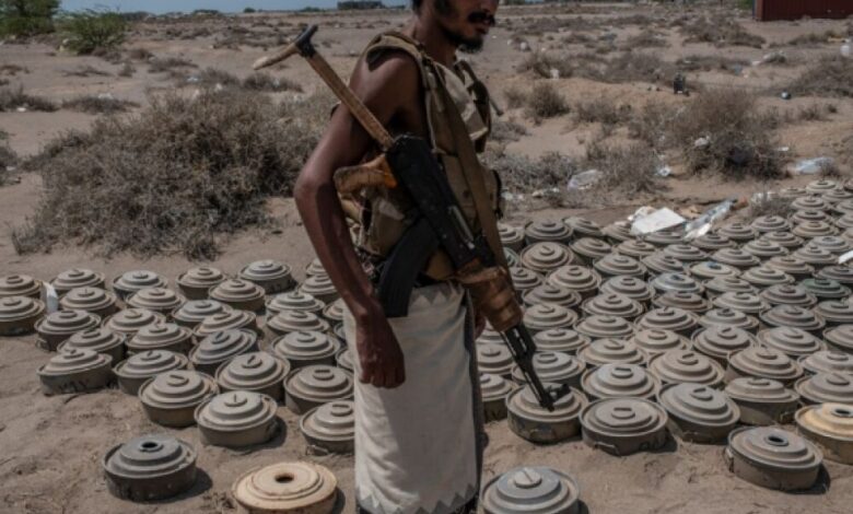 باحثة أمريكية : سياسة ترامب تجاه اليمن تتفق مع نهج إدارة أوباما