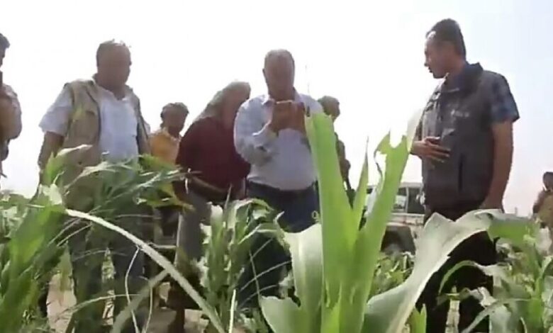 الوكيل الجحماء يلتقي فريق منظمة الفاو ويتفقدا المناطق الزراعية التي اجتاحتها اسراب الجراد في دلتا أبين