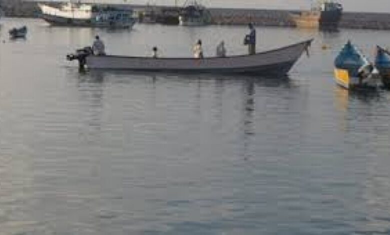 الهيئة العامة للمصائد السمكية بمحافظة أبين تنفي نفوق أسماك زينوب على شواطئ زنجبار