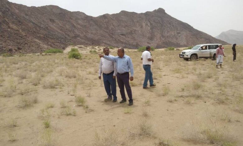 وزارة الزراعة تنفذ مسح تقييمي للجراد الصحراوي في أبين
