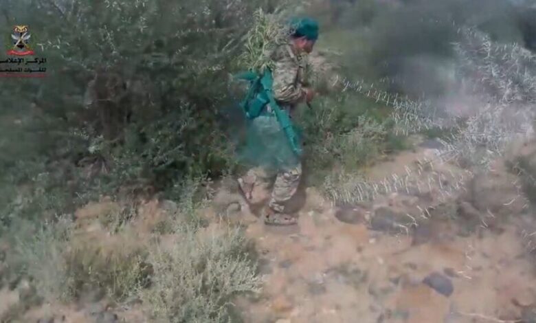 قوات الجيش الوطني تحرر مواقع جديدة شرق صنعاء