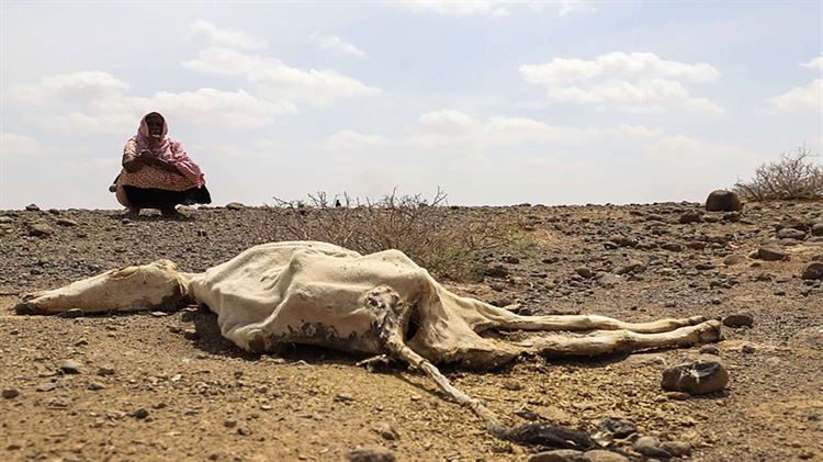 خطر الجفاف المرعب… الحر الشديد يهدد الأمن المائي لـ 15 دولة عربية بينها اليمن