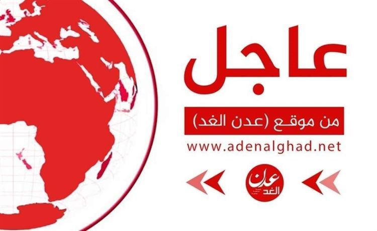 عاجل: وصول خمسة سفراء أجانب إلى عدن للقاء الرئيس العليمي