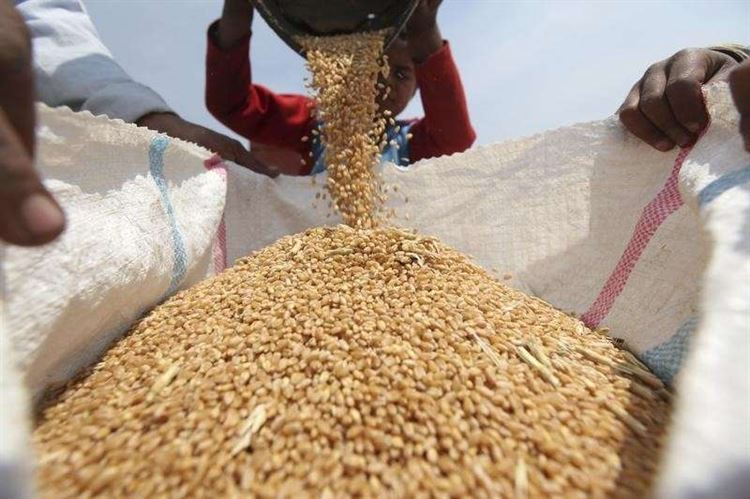 برلماني يكشف عن منح الحكومة تاجرًا 20 ألف طن من القمح قدمت مساعدات لليمن