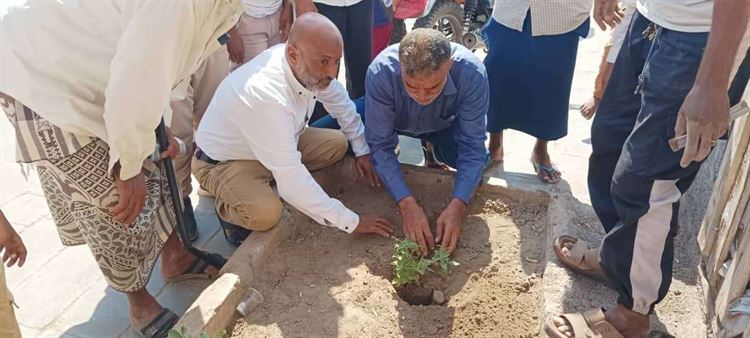 حماية البيئة لحج تنفذ حملة تشجير في مدرسة سعيد حيدرة ومستشفى الوهط