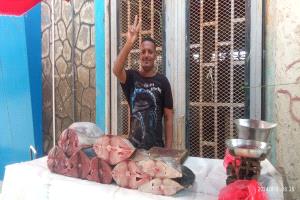 أسعار الاسماك في مدينة عدن