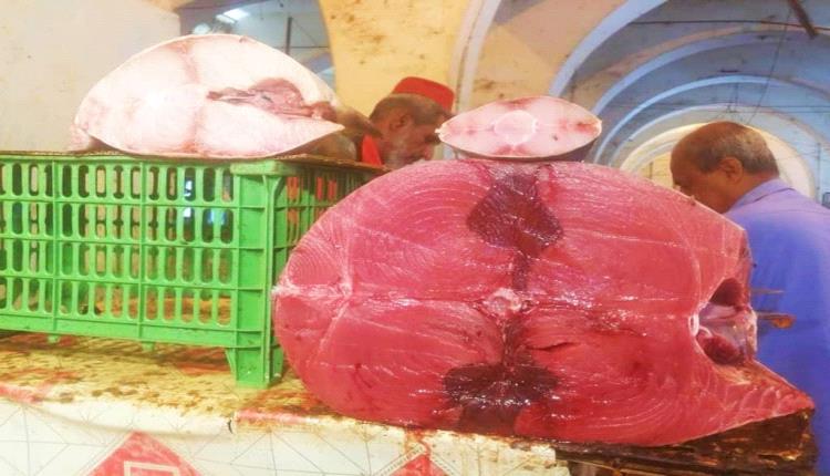 ارتفاع أسعار الأسماك يُضاعف قساوة الحياة اليومية للمواطن في عدن 

