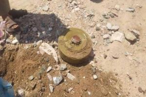 منظمة شهود:  الألغام تسببت في سقوط 101 ضحية في مديرية نهم بمحافظة صنعاء