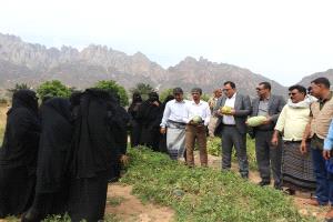 وزير الزراعة والري يطلع على البيوت المحمية الزراعية في سقطرى

