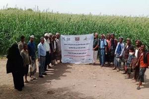 وكيل وزارة الزراعة يدشن اليوم الحقلي لمحصول الذرة الرفيعة في منطقة امجردوف بلحج