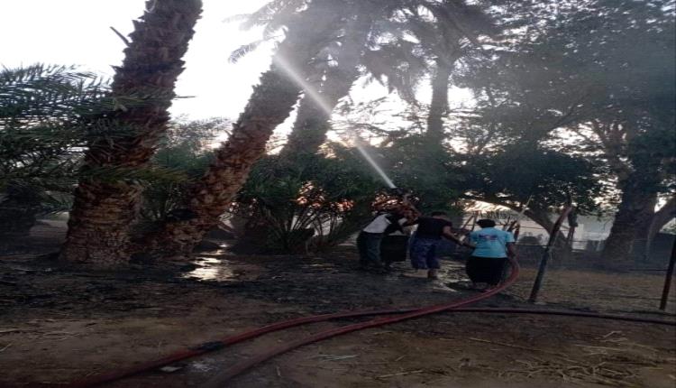 الدفاع المدني يخمد حريقًا نشب في مزرعة بمنطقة السويري بتريم