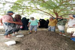 خبير زراعي ينتقد نظام "المدارس الحقلية" ويطالب بإعادة النظر في سياسات الإرشاد الزراعي..