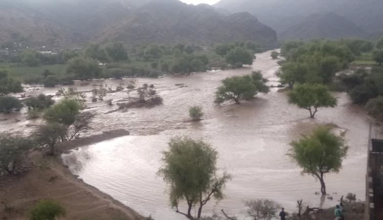 ما دور الجهات المختصة والمنظمات من اضرار السيول التي لحقت بوادي وصر جيشان ؟