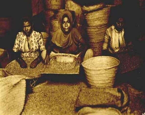 صفحات من تاريخ عدن ..العصر الذهبي لتجارة البن في عدن