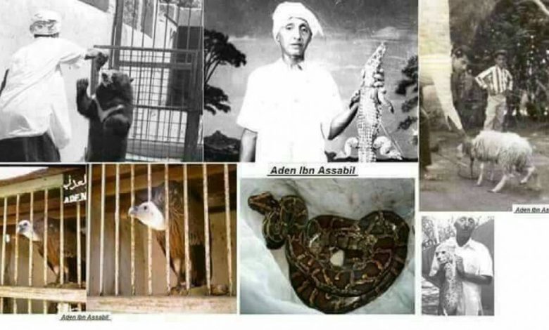 من ماضي عدن الجميل.. حكاية  أول حديقة حيوانات في عدن