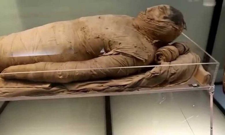 اكتشاف أقدم حالات إصابة بالسرطان في مومياوات بمصر