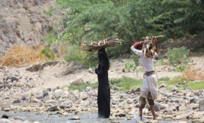 "الحطب" سبب جديد لقتل نساء اليمن!