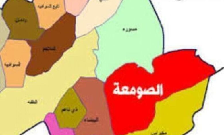 مصرع وجرح 6 من عناصر مليشيات الحوثي بجبهة ناطع بالبيضاء