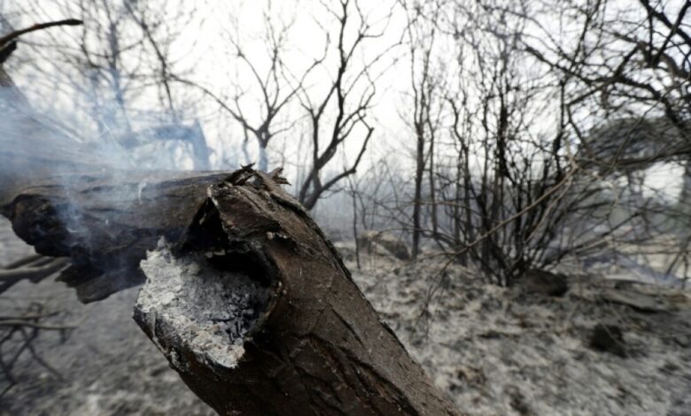 عشرات الحرائق تلتهم مساحات واسعة في لبنان وسوريا