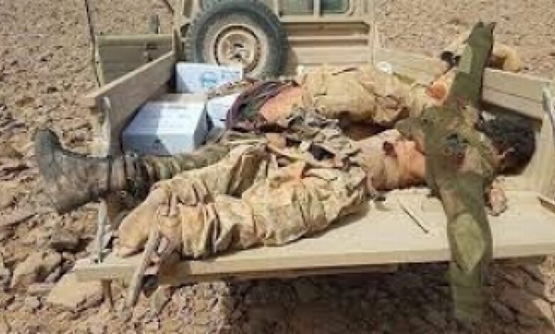 جماعة الحوثي تتعرض لعملية تنكيل حولت عناصرها الى جثث في صحاري حيس من قبل القوات المشتركة