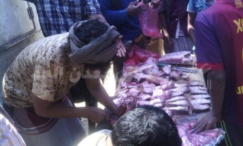 سوق منطقة "أمصرة" بأبين أحدثته  الحرب.. وأضحى همزة وصل بين مئات الوافدين إليه