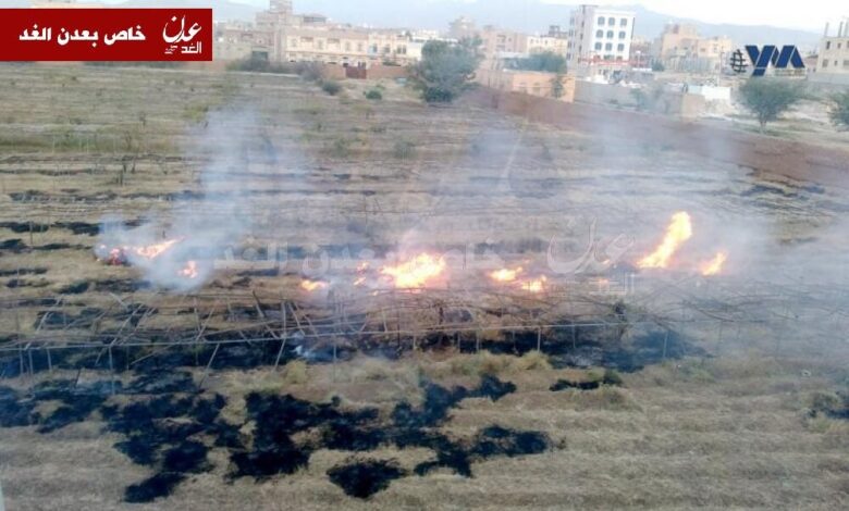 مليشيا الحوثي تحرق مزارع الرئيس ( علي صالح ) تمهيدا لبيعها