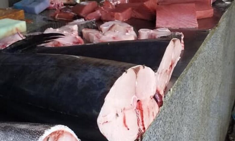 اسعار الأسماك ليومنا هذا السبت في عدن