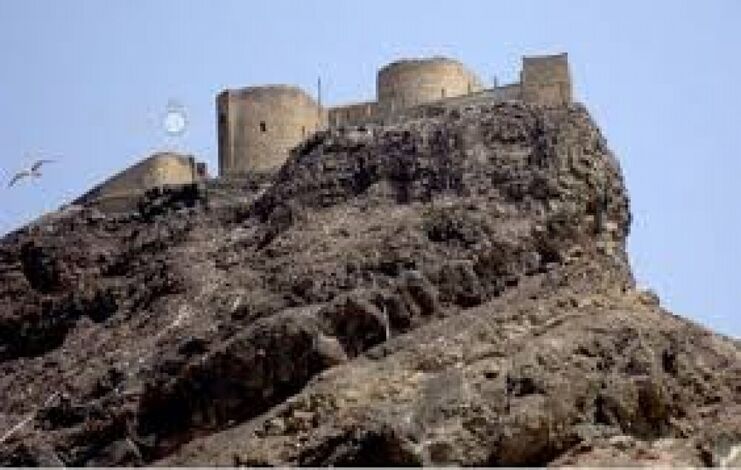 قوات الحماية الرئاسية تتسلم مهام حماية قلعة صيرة (فيديو)