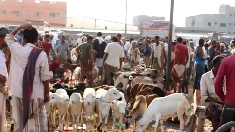سوق عدن المركزي للماشية يستقبل عدد كبير من المواطنين في اول يوم عيد الفطر المبارك