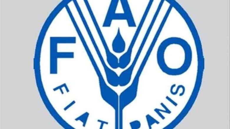 منظمة الـ(فاو) تحتفي بيوم الأغذية العالمي في لحج