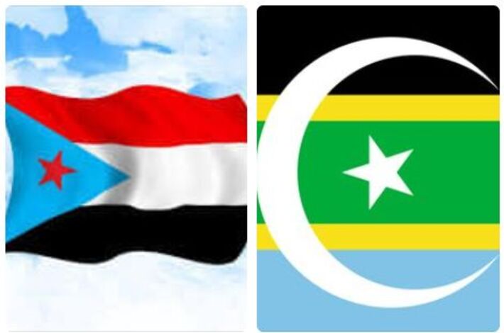 العثماني :المطالبة بعودة الجنوب العربي ورفع علم اليمن الديمقراطي تناقض غريب وصارخ