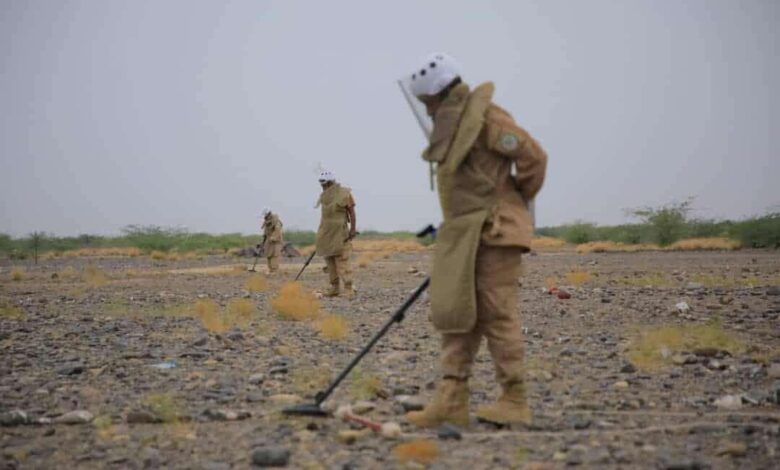 "مسام" ينزع آلاف الألغام خلال شهر في اليمن
