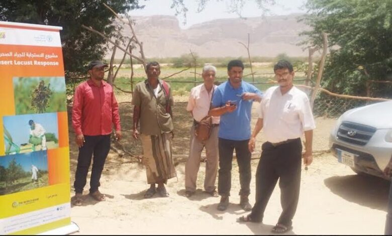 مدير عام مكتب الزراعة والري بحضرموت يدشن مشروع الاستجابة للجراد الصحراوي
