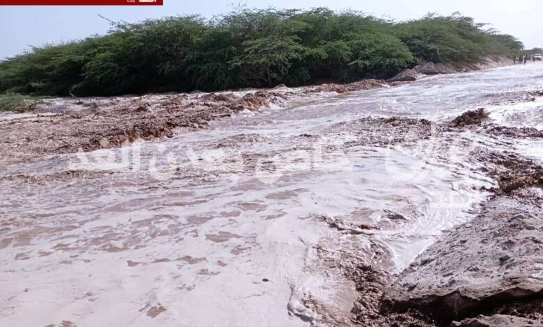 سيول جارفة تتدفق في وادي أحور