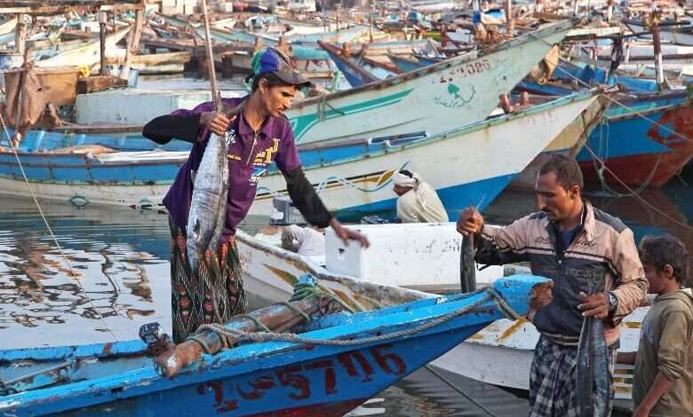 مشروع جديد للبنك الدولي يساند استدامة مصائد الأسماك في اليمن