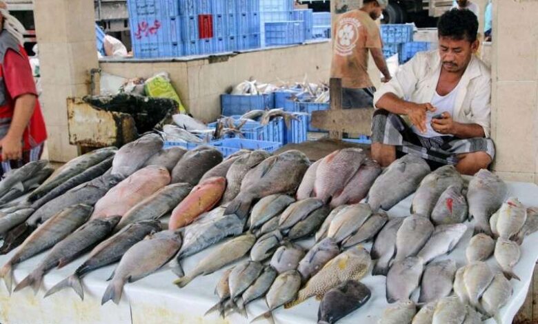 استيراد كميات من السمك من الحديدة عقب ارتفاع أسعارها بعدن وتصديرها للخارج