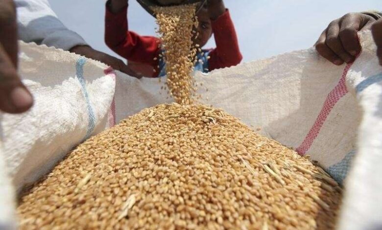 وزير: مخزون اليمن من القمح يكفي 4 أشهر